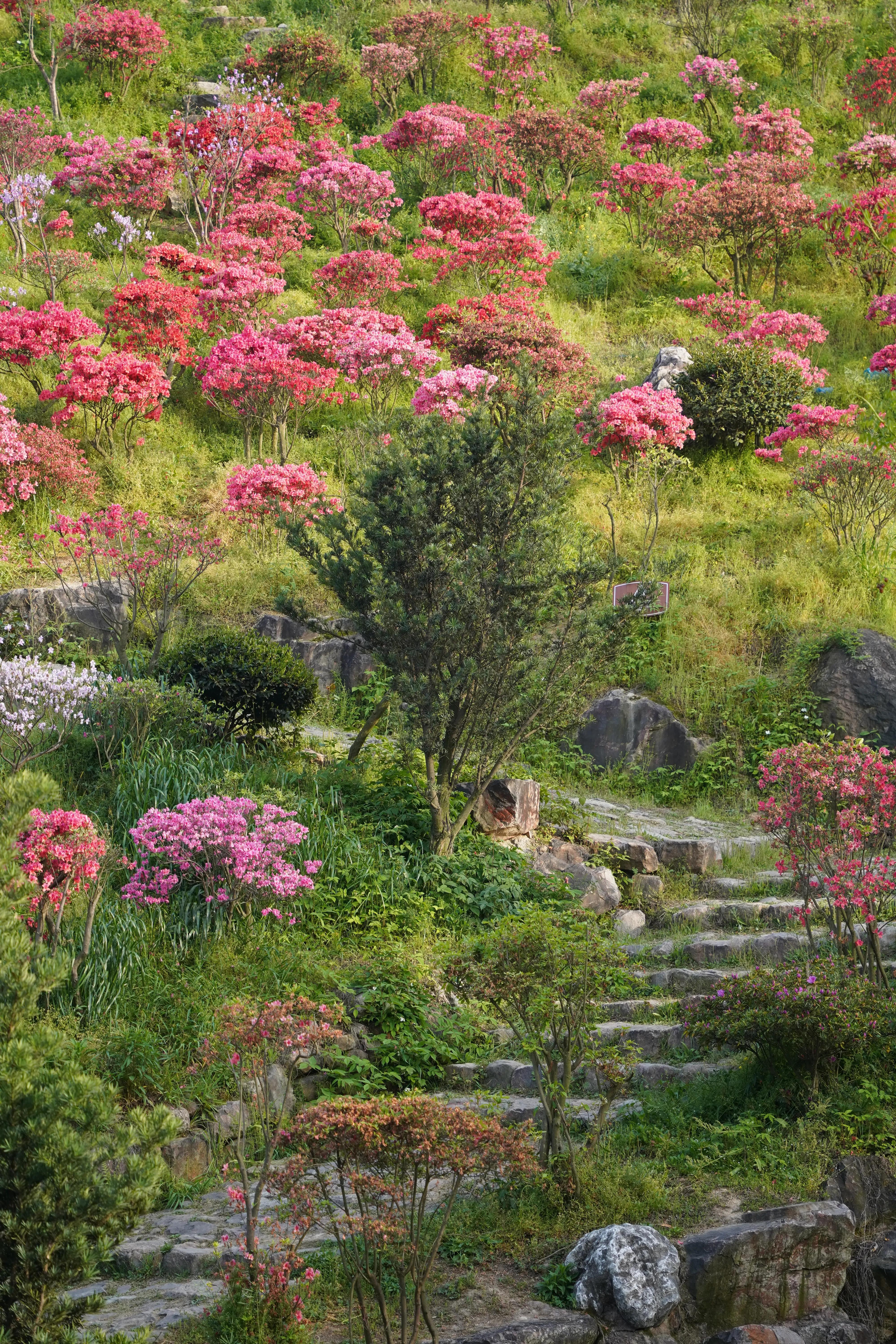 杭迪会·超级奶爸训练营——带娃出去春游啦