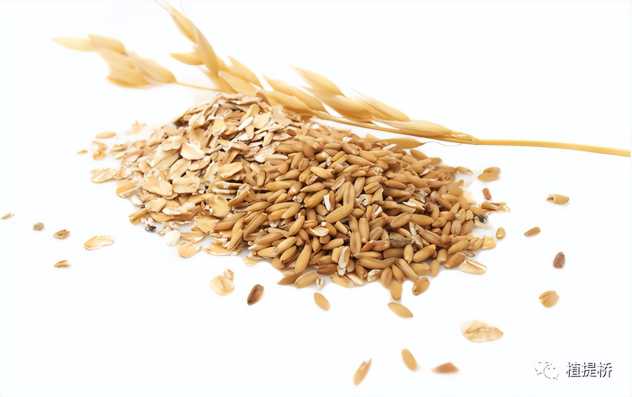每周新原料获批8年依旧冷门燕麦β-葡聚糖能逆袭吗植提桥独家解读