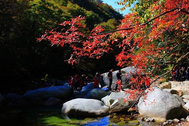 四川光雾山风景视频,光雾山旅游景区