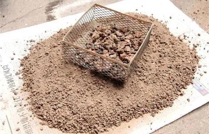 新手铲屎官该如何挑选狗粮呢,新手铲屎官如何挑选猫咪