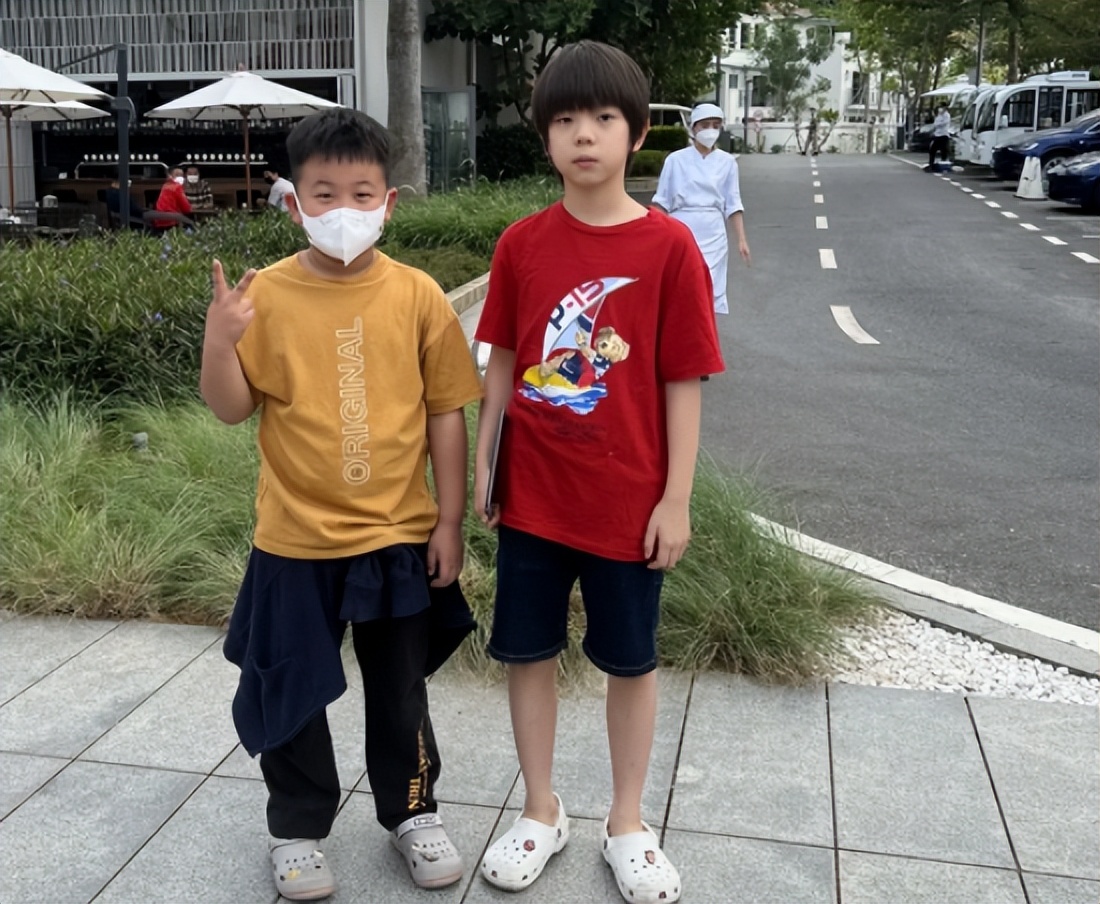 霍思燕儿子为什么是蒜头鼻,霍思燕儿子变腺样体面容