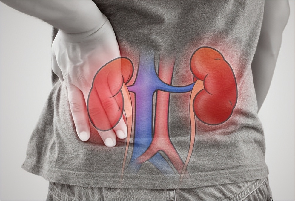 一个单身女青年的疑问,一位单身女性的疑惑