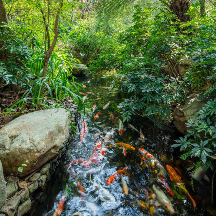 广州长隆酒店童趣乐园,广州游玩长隆性价比超高的酒店