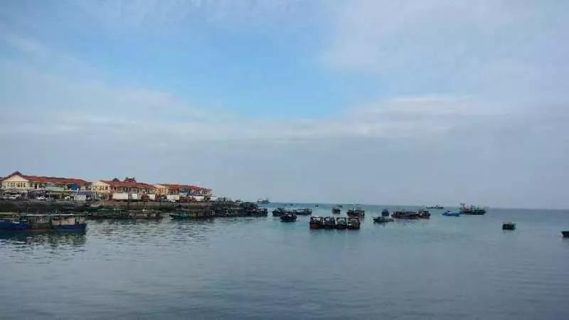 鍗楁父婕鎺犲奖,鍗楁父婕