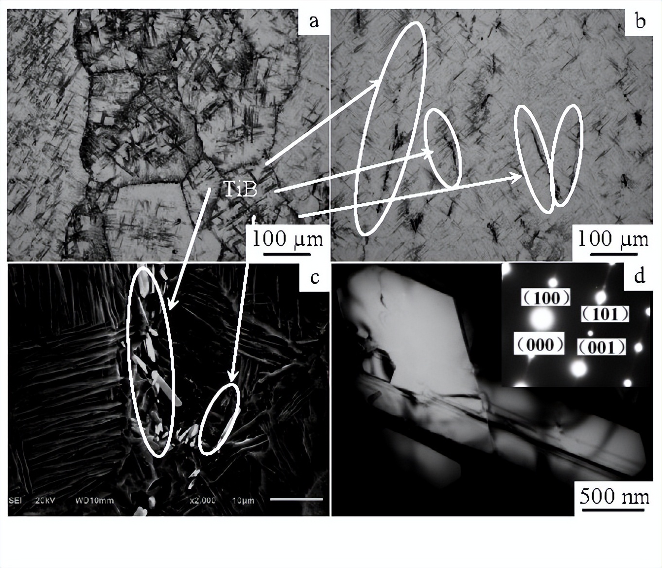 硼元素对睾酮的影响,硼元素的亲氧性