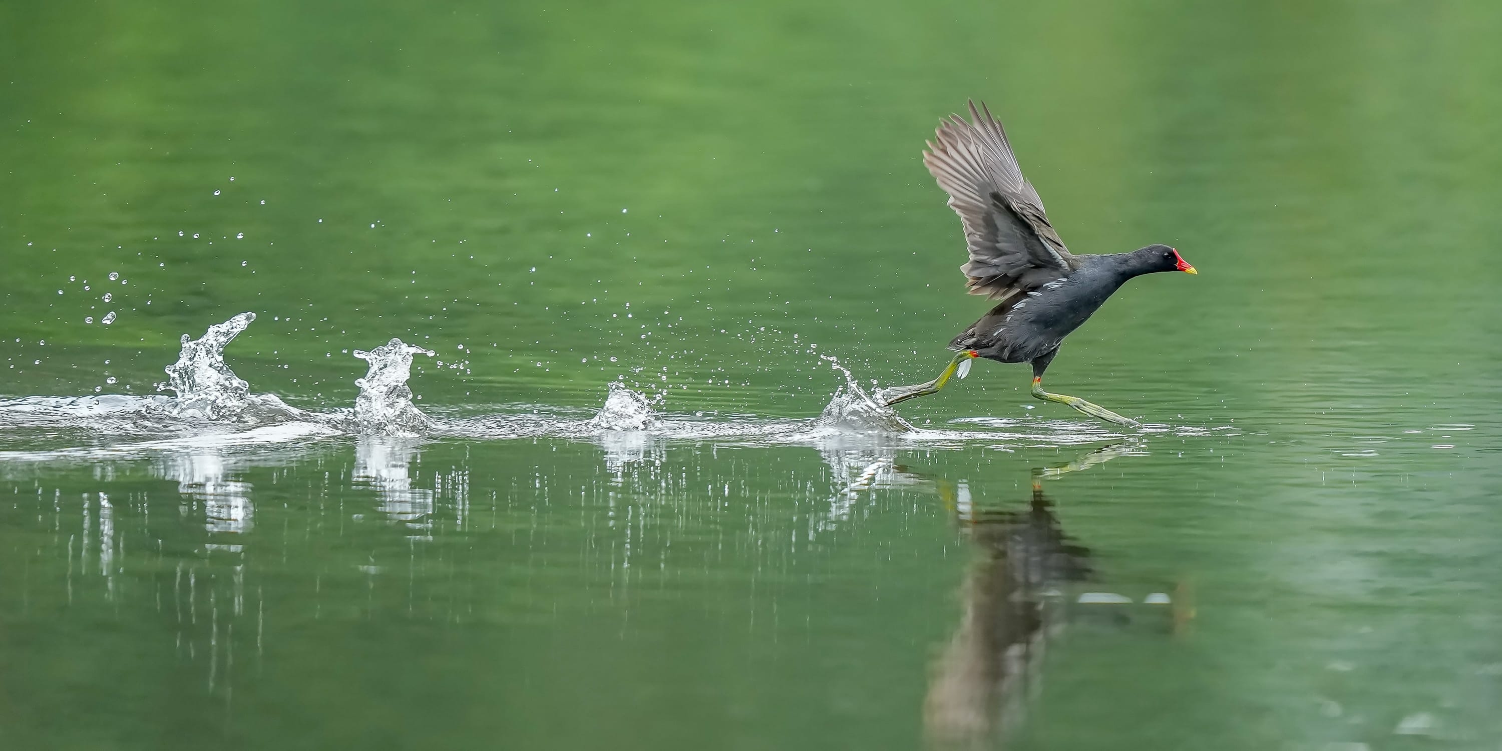 王者归来1-100级,索尼alpha1教程