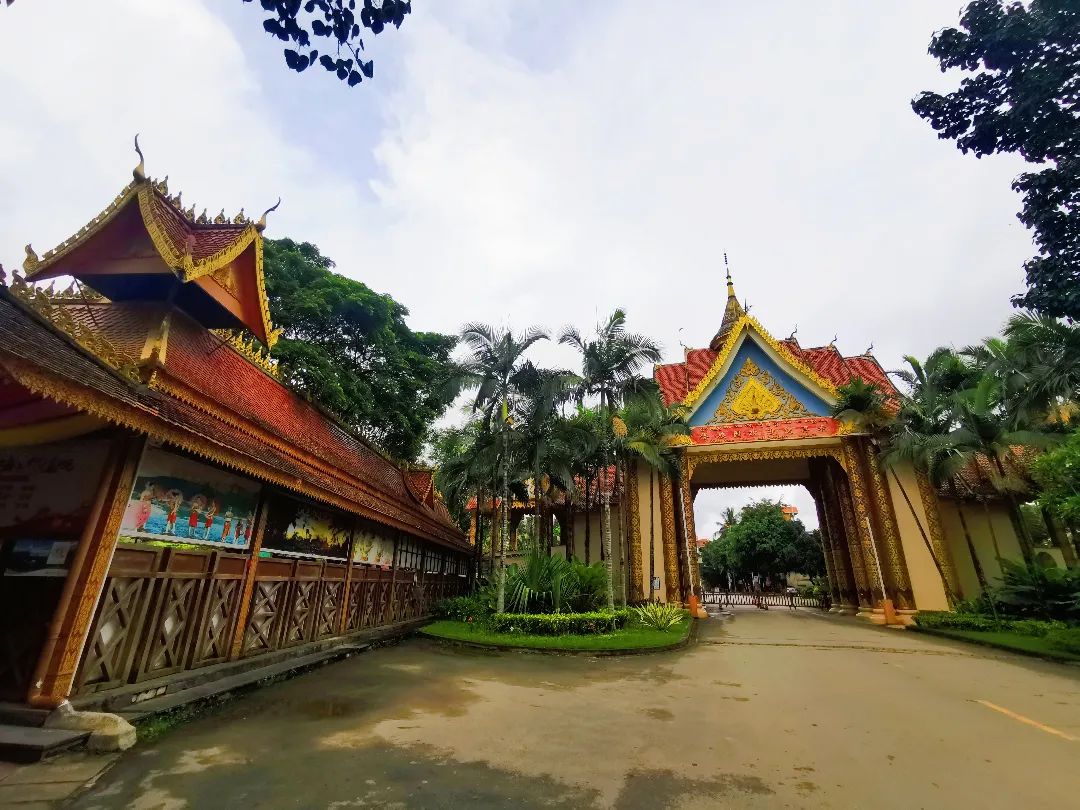 西双版纳七天六夜攻略,西双版纳五天六夜之旅完美结束