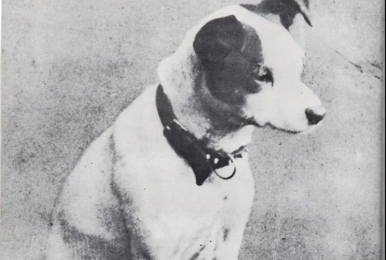 hmv香港官网购买步骤,hmv中环店在哪里