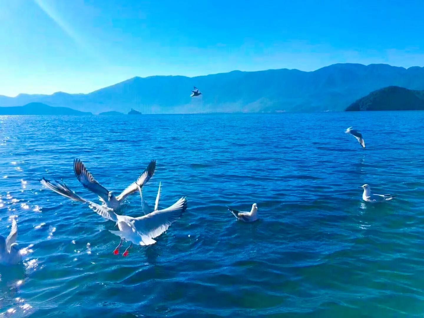 云南5a景区排名前十有哪些,云南景区5a级排名前十有哪些