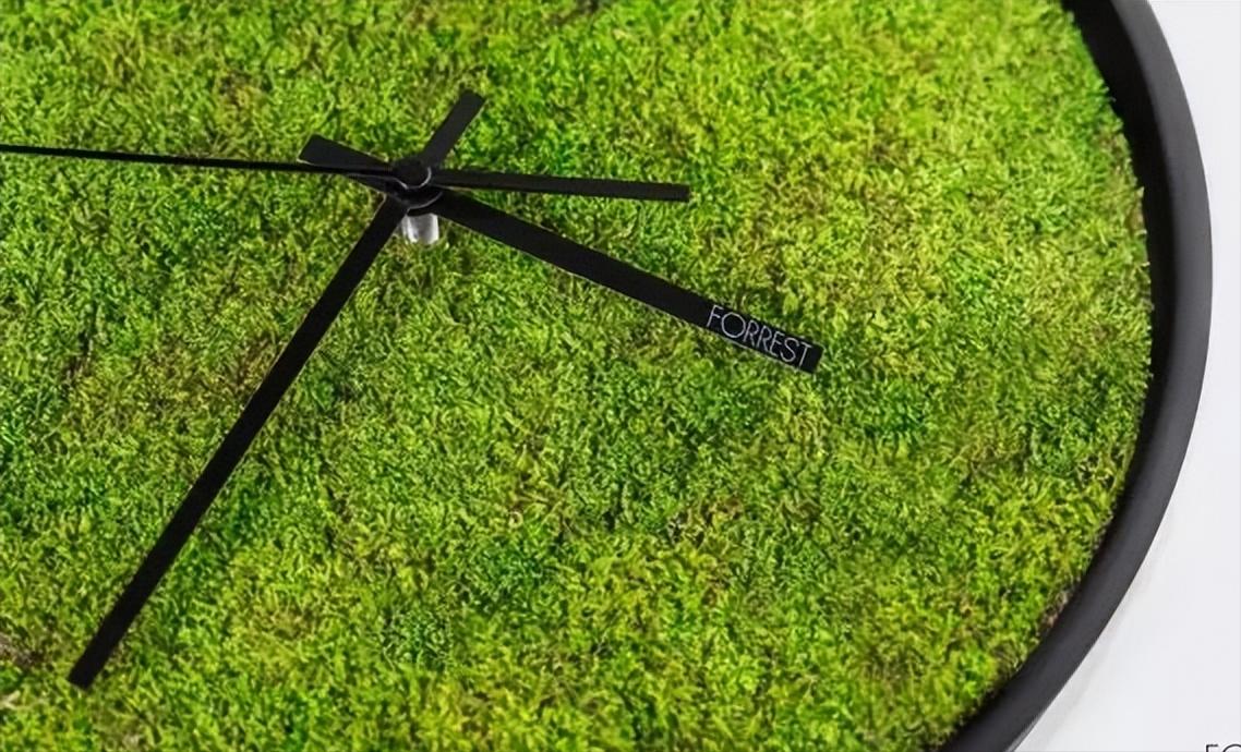 dw手表哪款值得入手,dw手表哪一款比较好