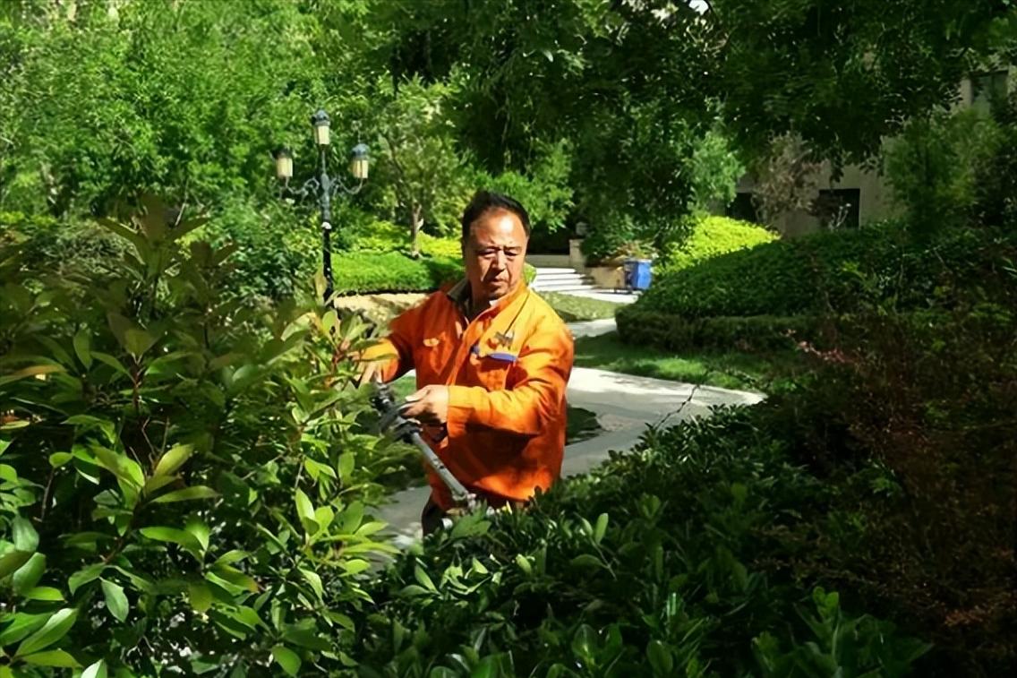 老小区物业靠什么盈利,物业差的小区有投资价值吗