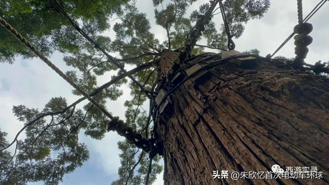 只带600就开车环绕地球一圈，还赚300万，回到亚洲又捡个华裔老婆