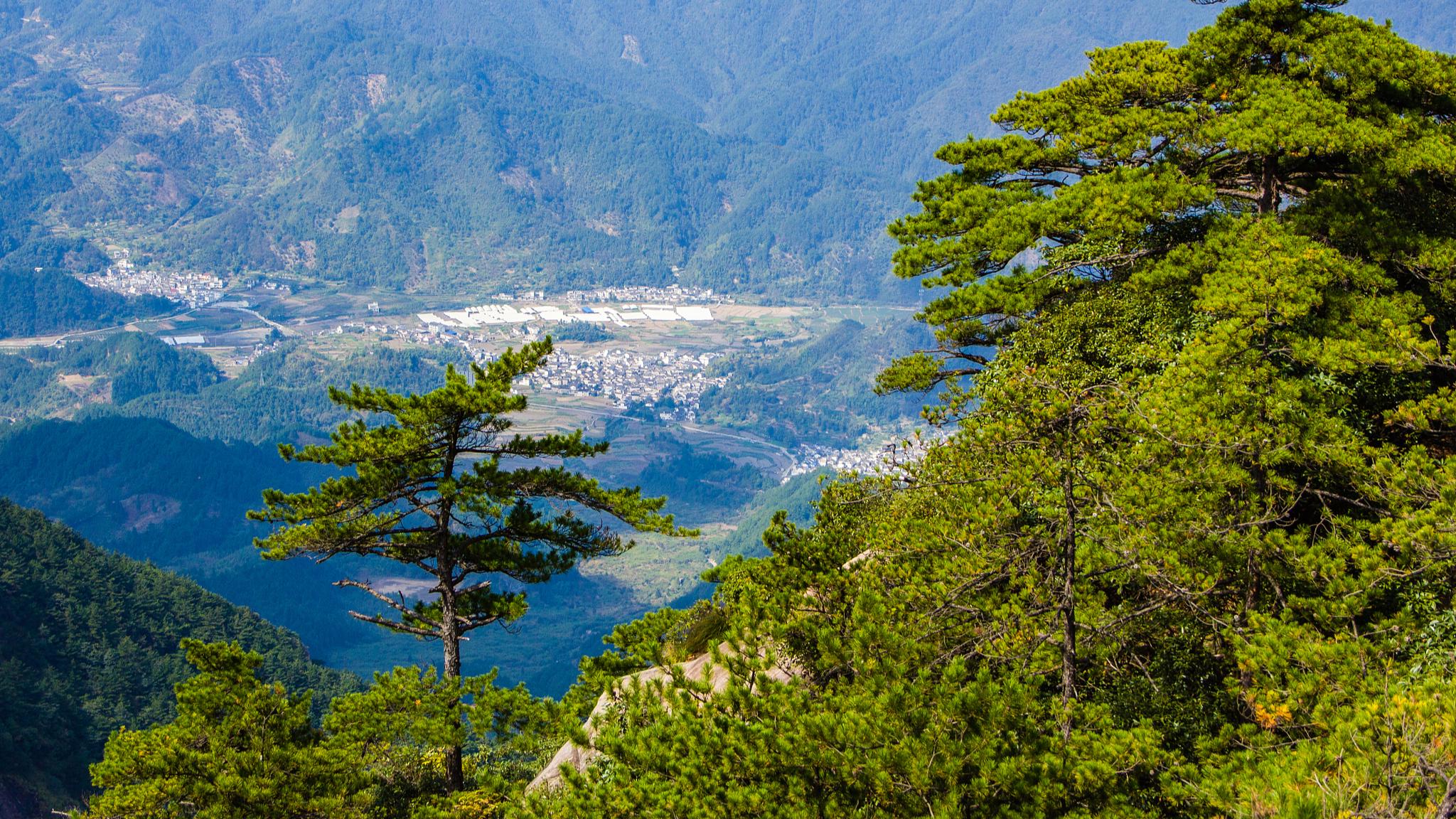 元好问为官避世,元好问以诗存史