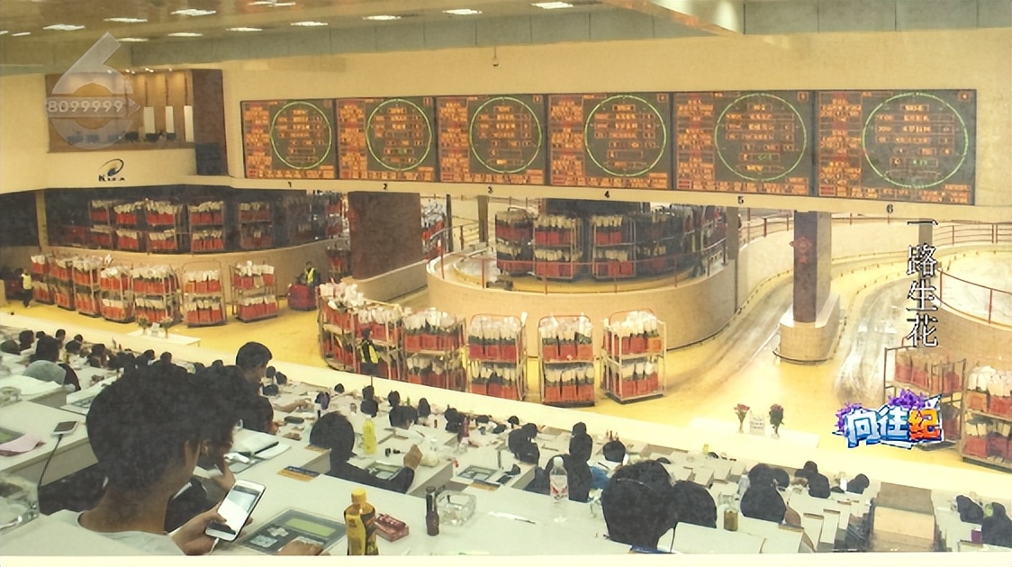 盘点人们都向往的工作,向往的工作和现实的工作