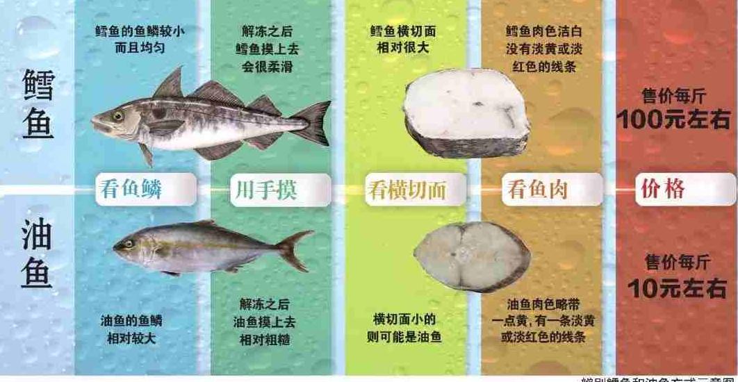 油鱼吃完后漏油的样子,油鱼有什么危害