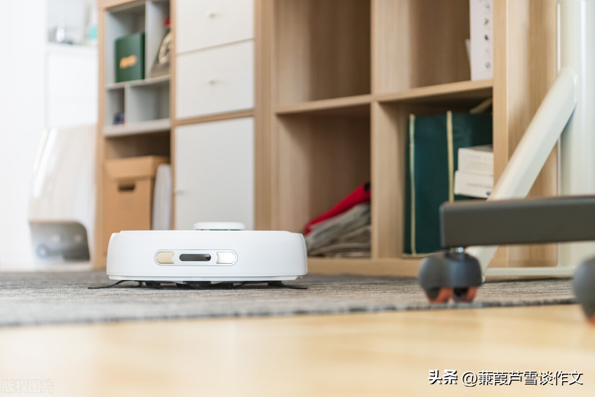 说明文，文艺范，好玩又好看——阿宝老师的“作文经”（二三八）