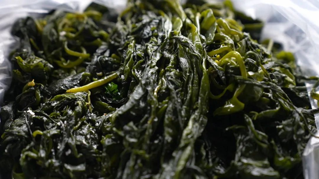 看似不起眼实则很赚钱,养殖场一年能赚多少钱