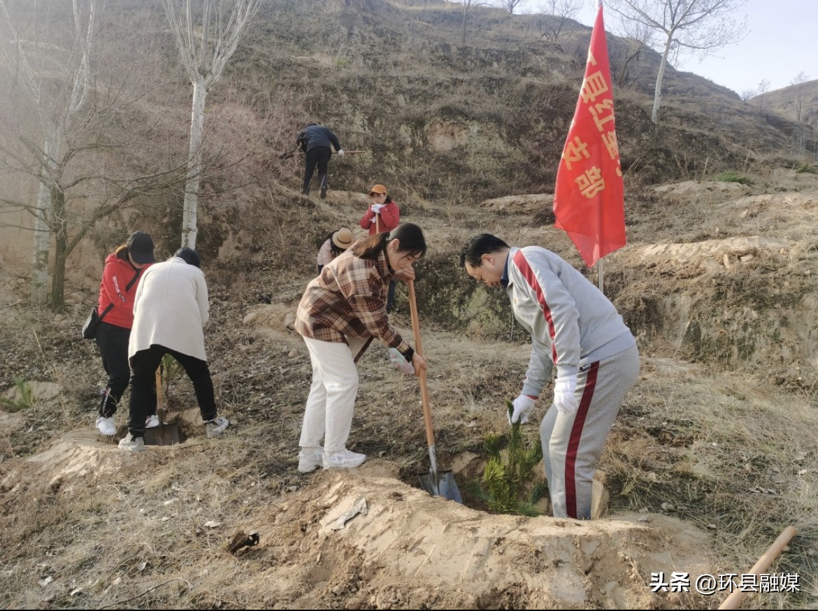 新县组织开展全民义务植树活动,积极开展植树增绿活动