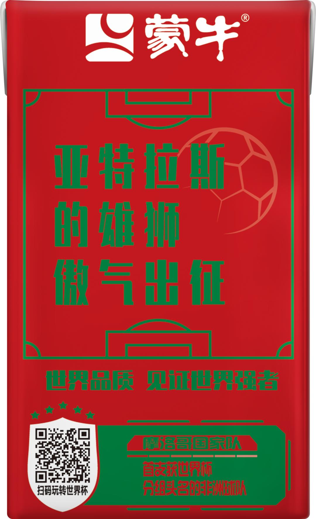 世界杯足球员故事,世界杯队长纪录片第四集