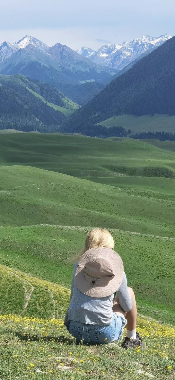 怎么会不喜欢綠色壁纸呢