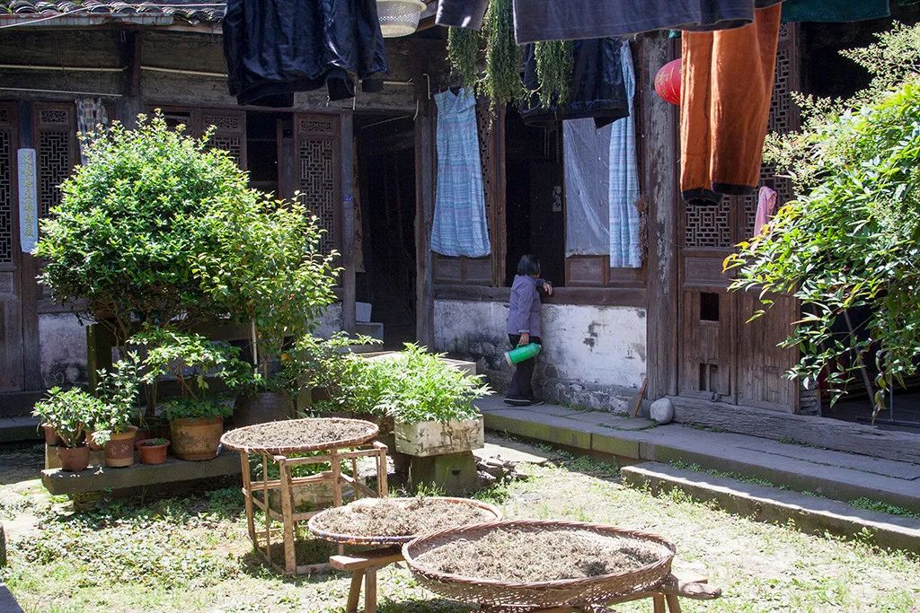 江浙沪著名的小吃一条街,江浙沪小吃最多的地方是哪里