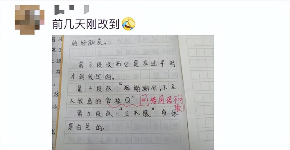 “我真的是栓Q”，小学生把网络用语写进作文，老师看后直呼头疼