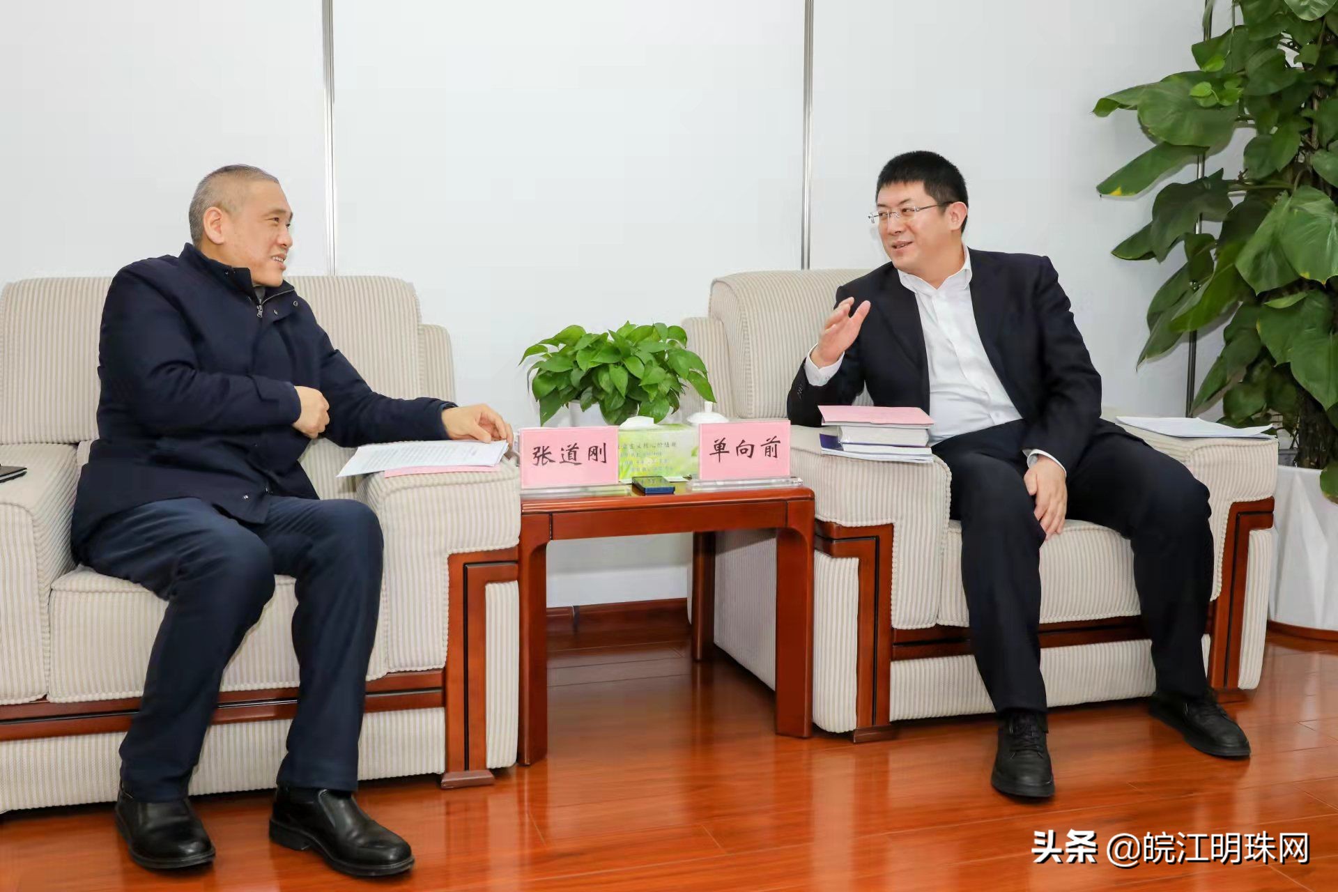 决策2020,决策2030