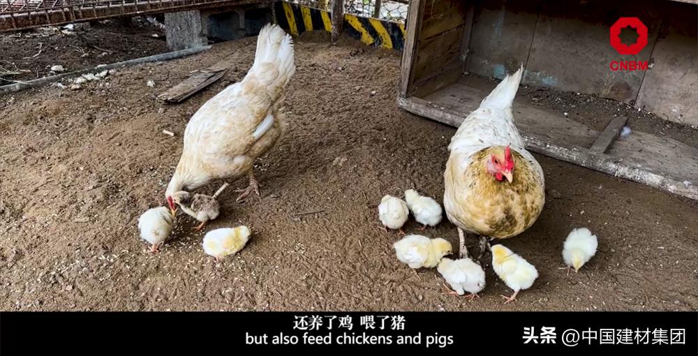 中材国际几内亚项目,中材国际巴拿马项目