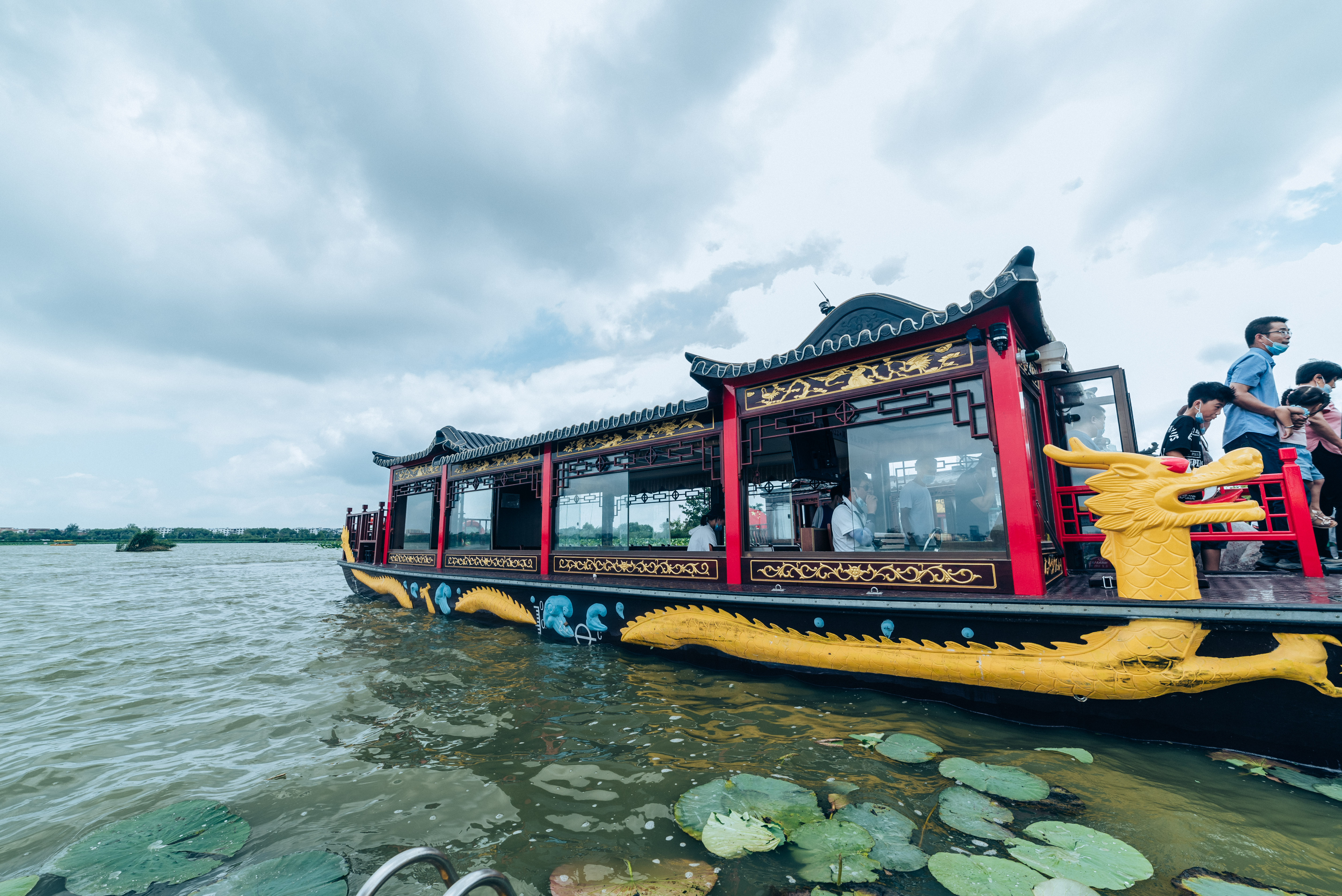 淮阳龙湖赏荷旅游月开启,淮阳龙湖湿地赏荷