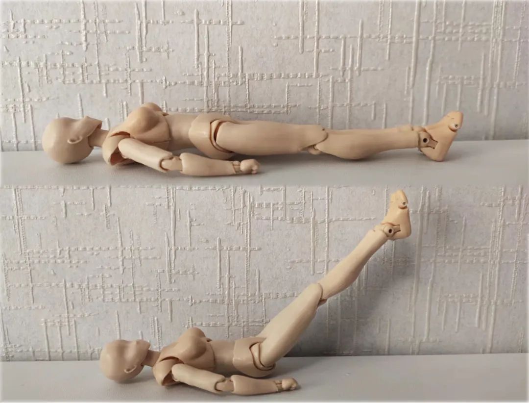 健身下背部训练方法,下腹部锻炼最佳动作