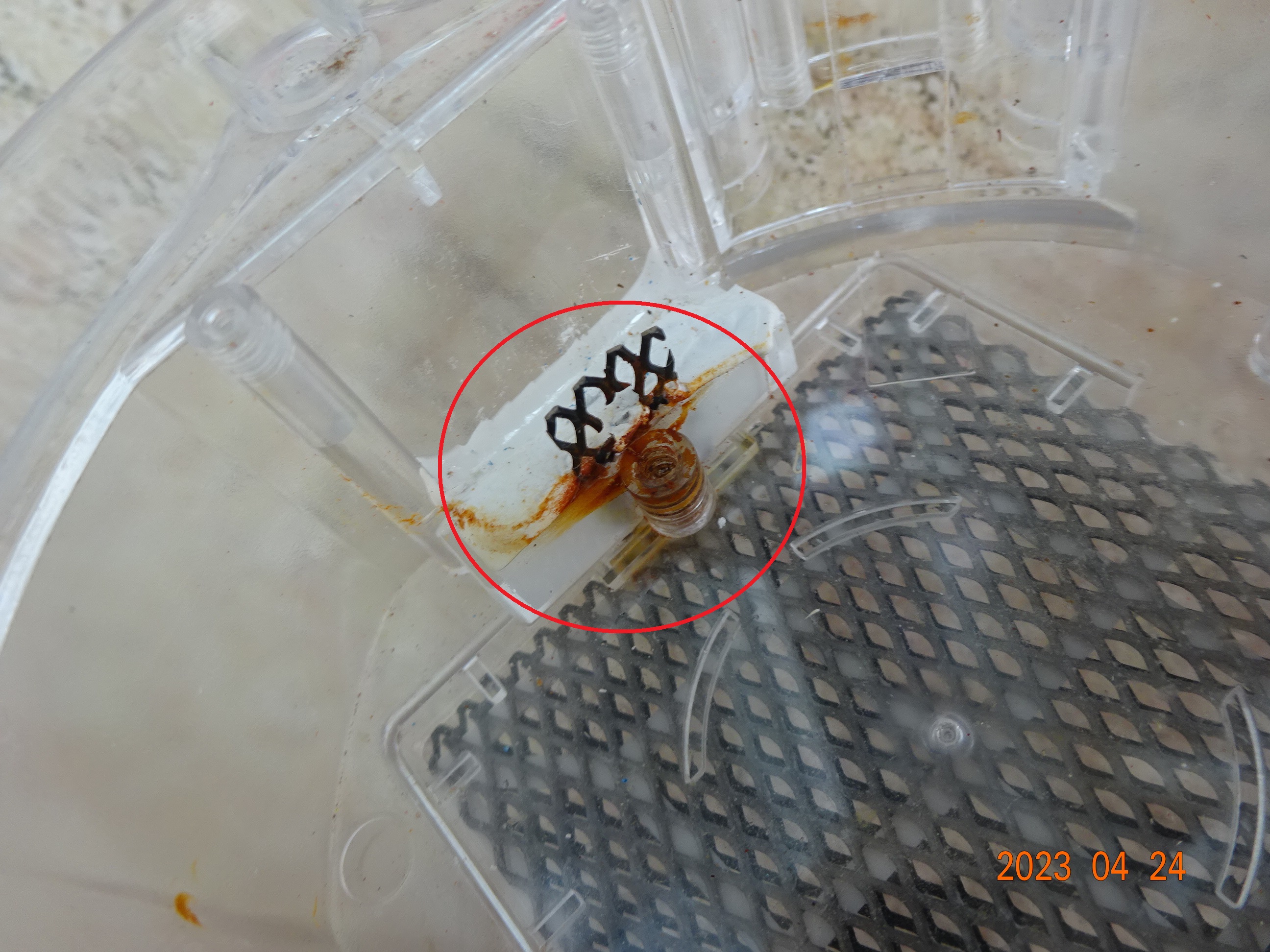 清洗果蔬机的故障与维修,果蔬全自动清洗机