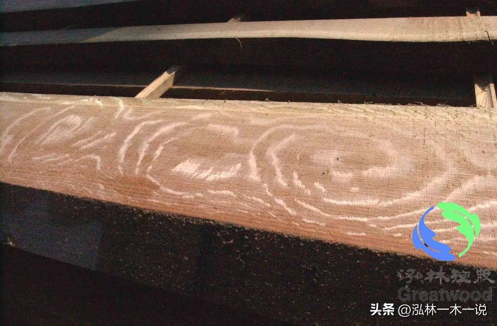 欧洲贵妇出轨被发现,欧洲白富美