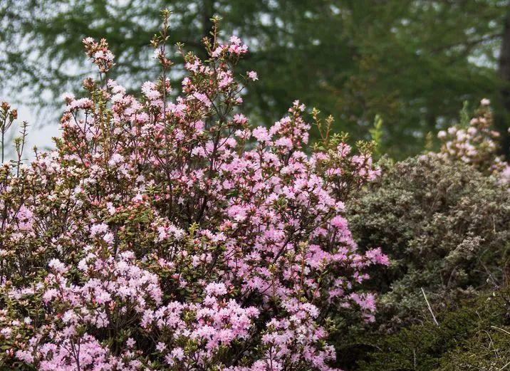 昭觉美姑,美姑路况