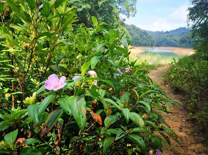 刘柏荣|豪*欲情**把春留住：花困东君酒点唇（原创诗词十首）