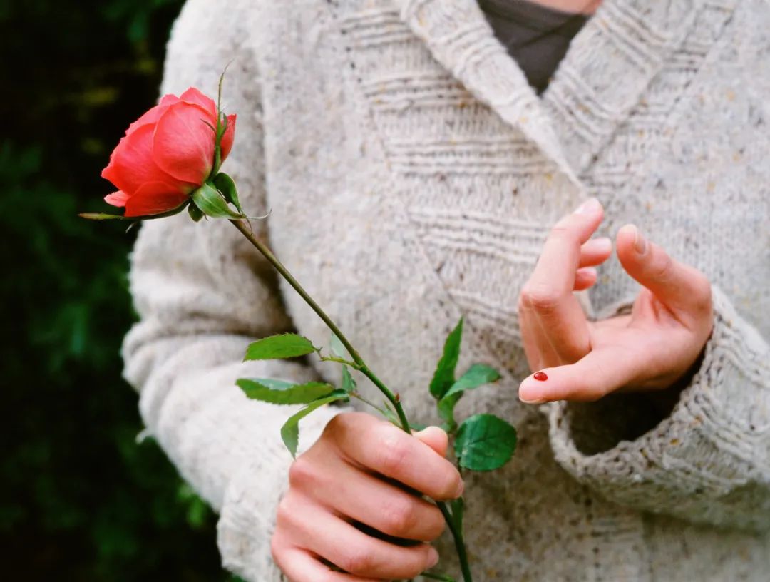 手指头上面扎刺该怎么去,手指头扎刺了用最快的方法弄出来