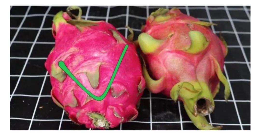 各种水果的切法小技巧,买水果挑选技巧