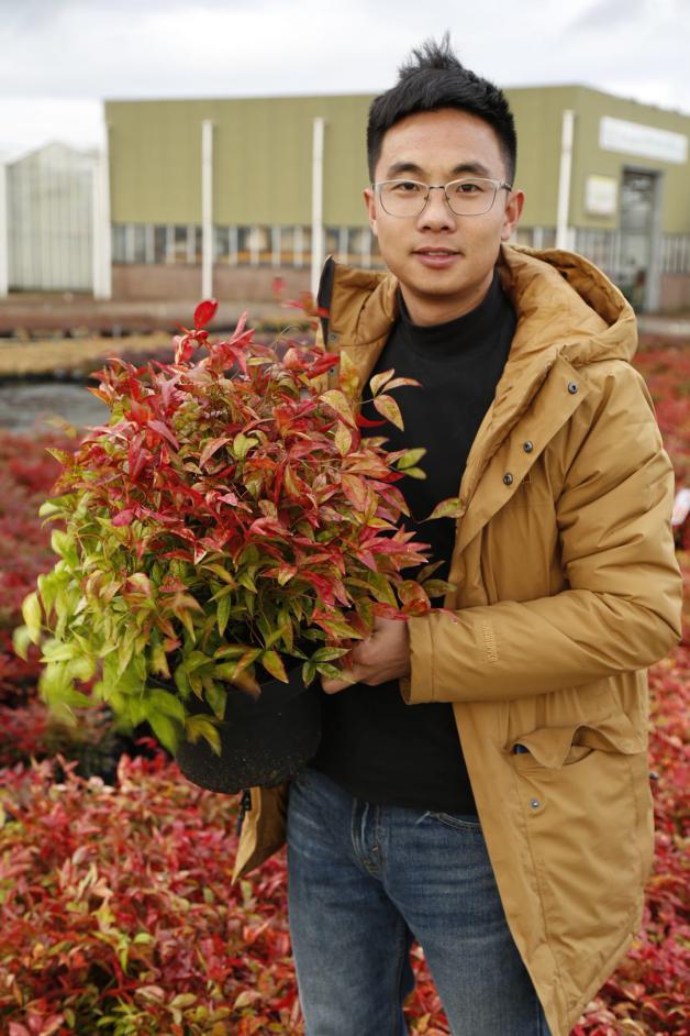 园艺电商怎么做好销售的,园艺电商怎么做得快呢视频