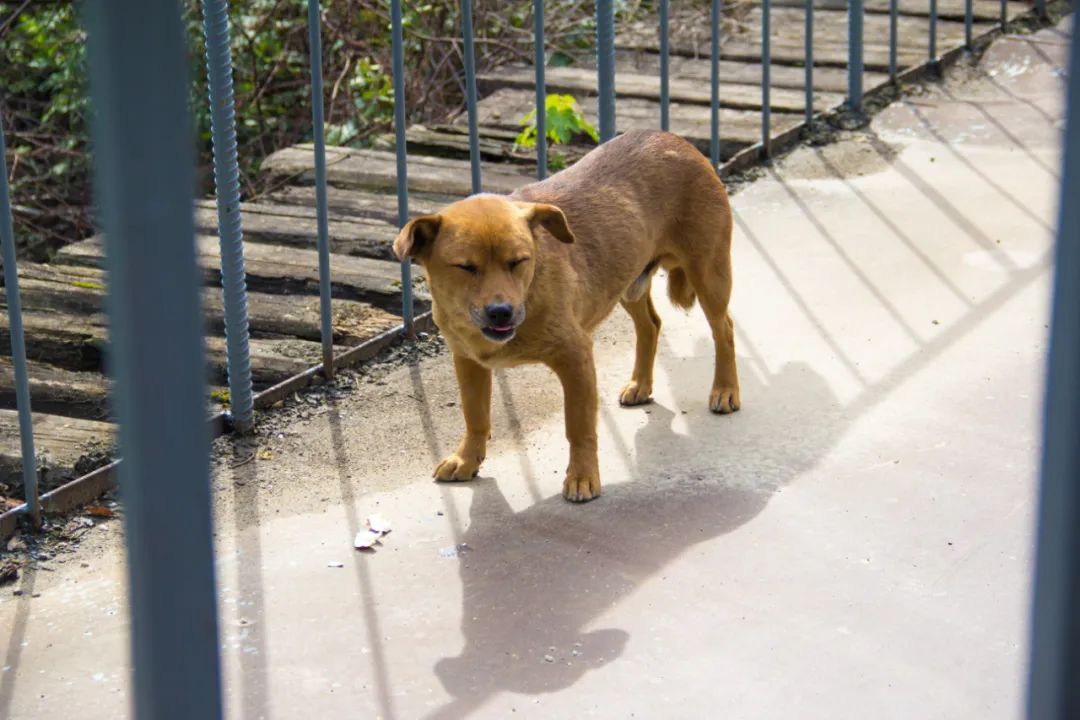 寻访秦岭古村落的感受,探秘秦岭最美空中村落犁辕坪