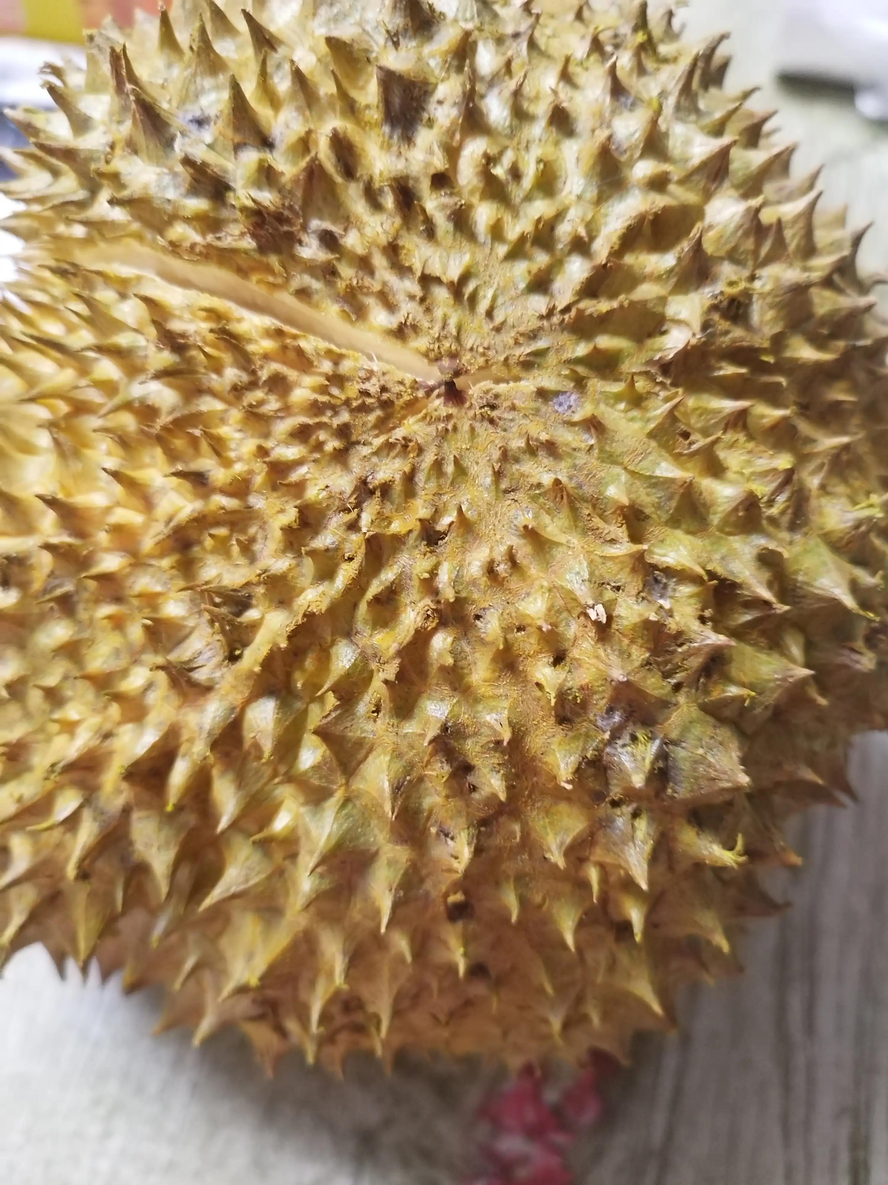 网上这些冷冻榴莲值不值得买,开完的榴莲要放冰箱保鲜吗