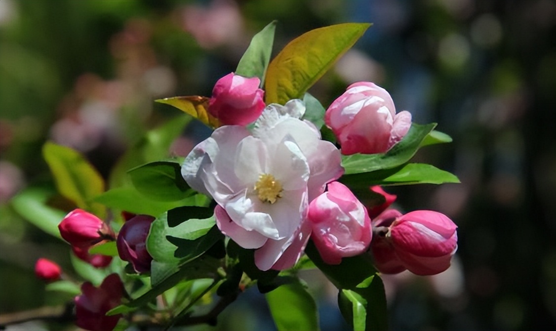什么样的教育方式才能让孩子成功,成功父母教育孩子的方式