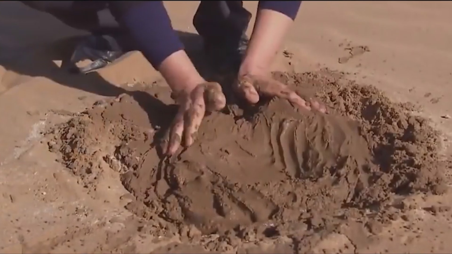 中国神奇胶水让沙漠变绿洲,中国科学家发明胶水沙子变土壤