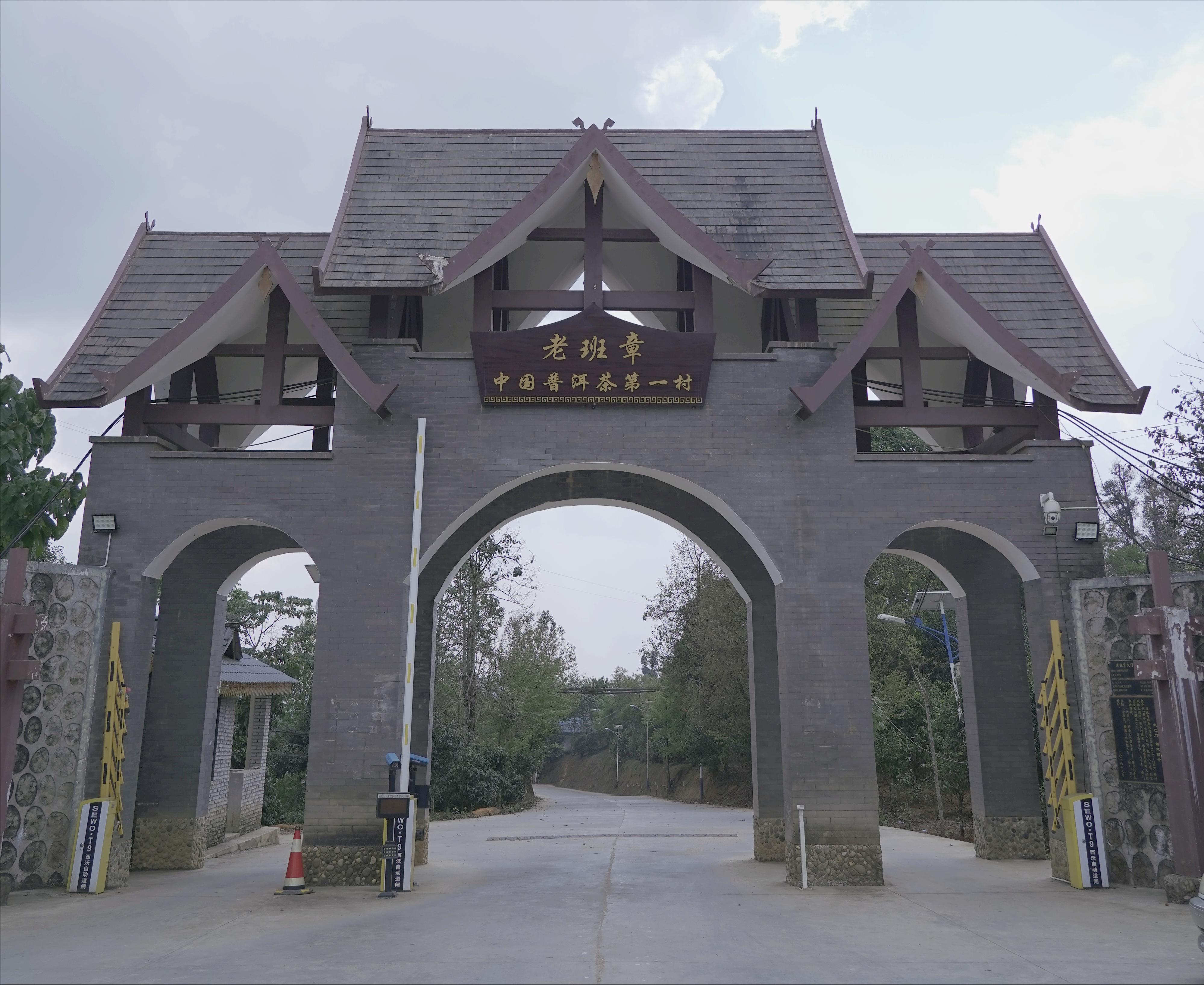 班章普洱茶怎么样,班章普洱茶来历