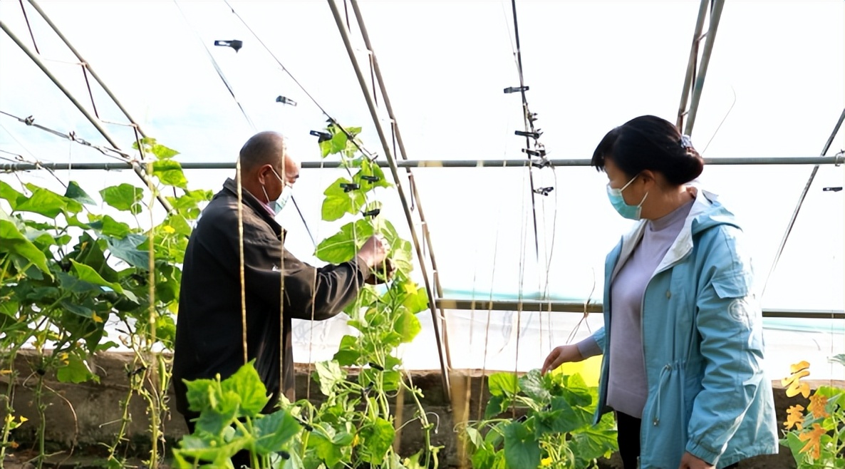 第七期乡村振兴致富带头人,乡村振兴致富带头人第二期