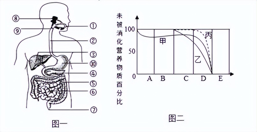 生物测试准确率,生物模拟试卷2