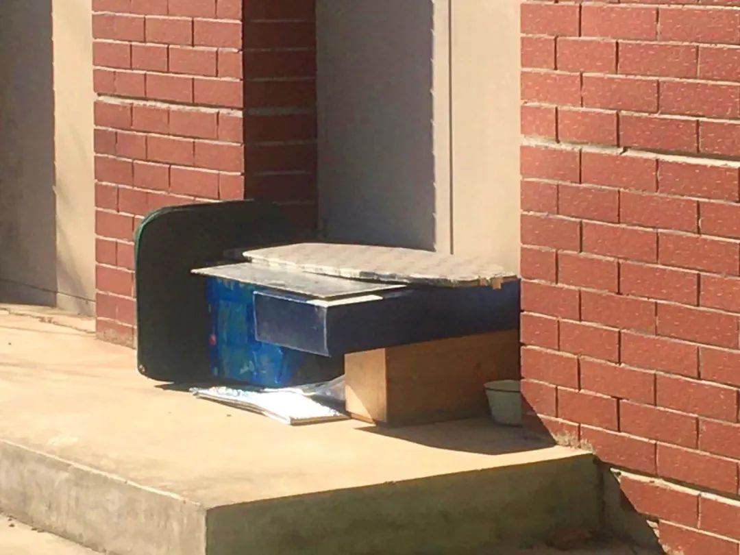 没有写完的黄猫胖太阳的故事