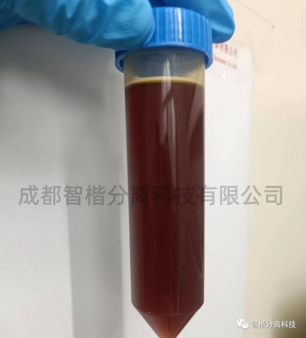 创新无限|参观智楷实验室，领略科技的无限可能