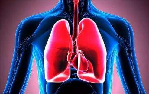 咳嗽与肺热和上火有什么关系,肺热咳嗽肺火旺怎么办