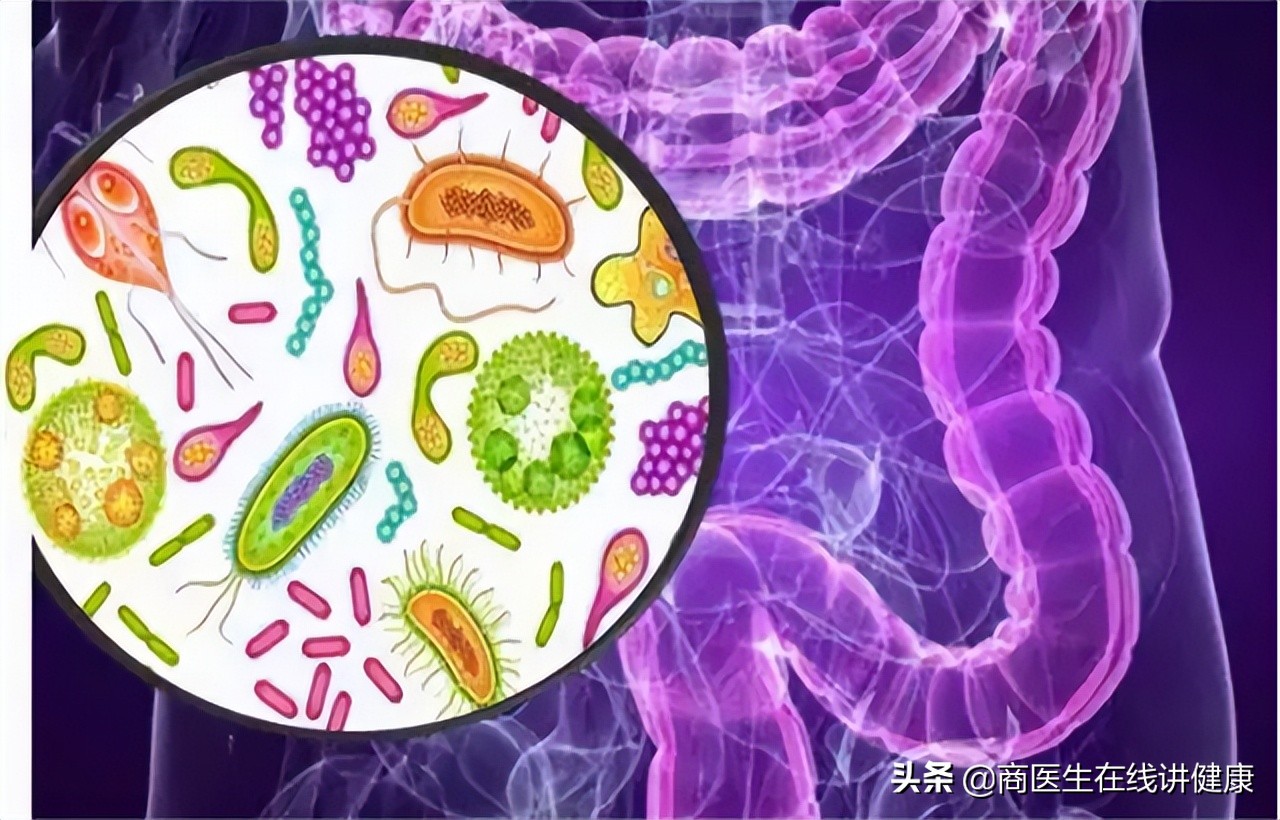 为什么肠道老是长息肉,为什么会有肠道息肉
