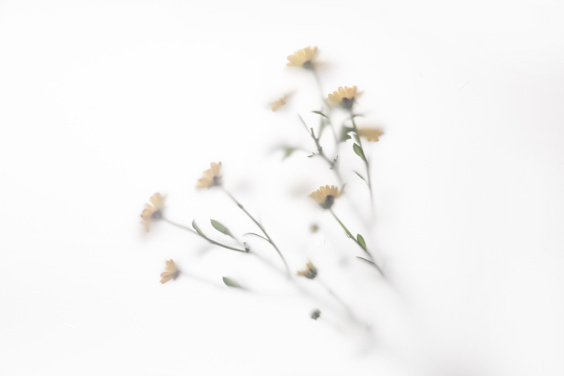 人生要懂得藏拙不能锋芒毕露,做人要懂得藏拙懂得收敛