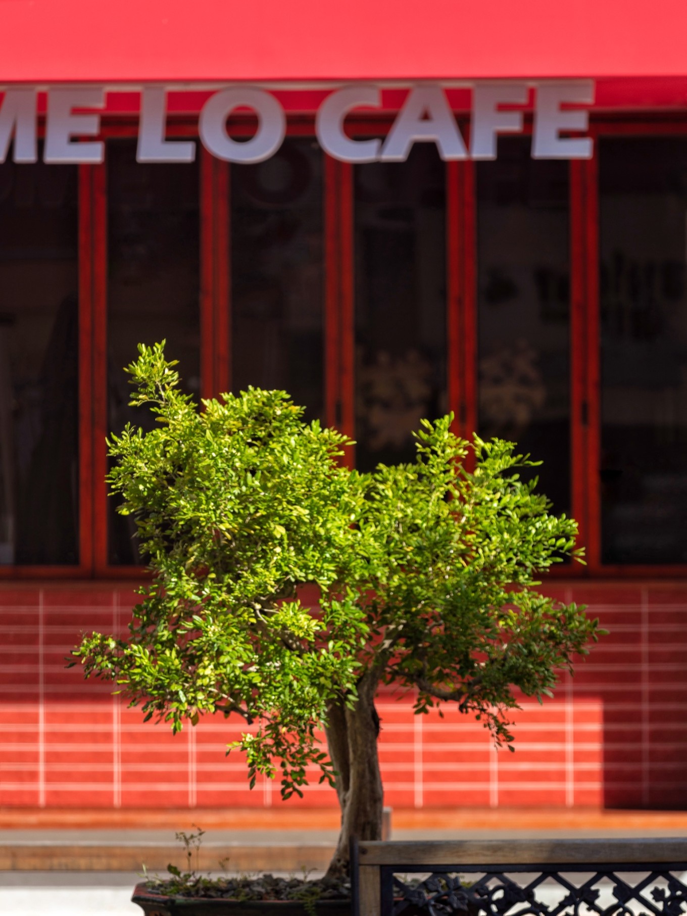 七门网红打卡地,带你走进又一网红打卡地